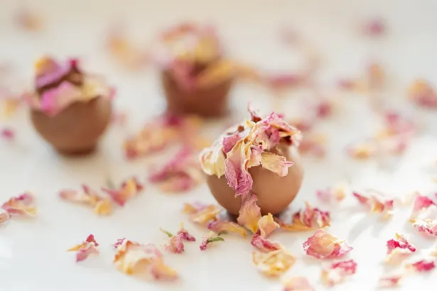 Fever Slots Kasino Apl Android/iOS